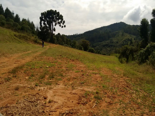 Fazenda à venda, 12000m² - Foto 10