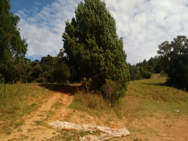 Fazenda à venda, 12000m² - Foto 11