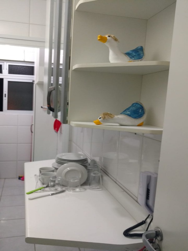 Apartamento à venda com 2 quartos, 65m² - Foto 12