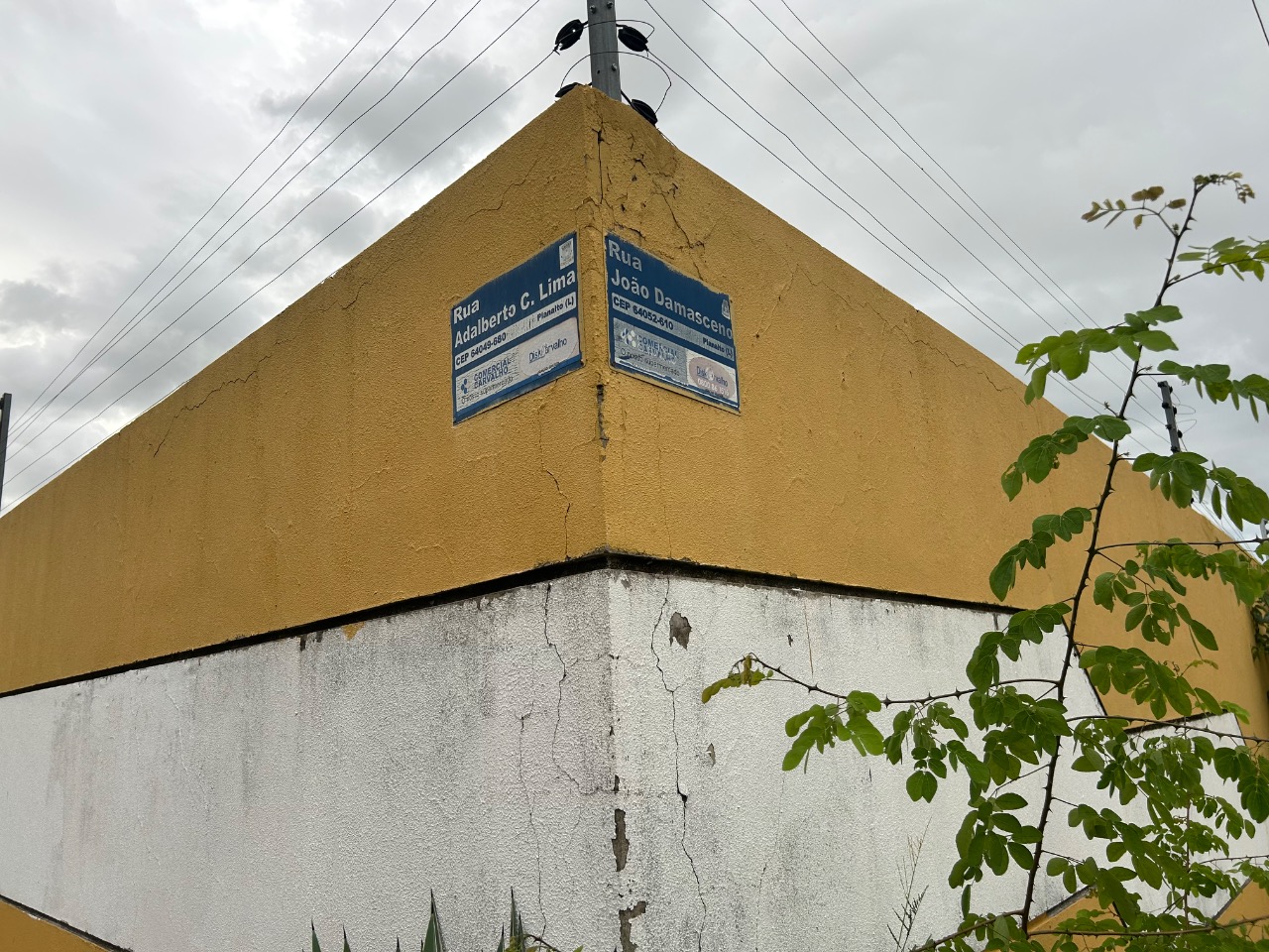 Terreno à venda, 2400m² - Foto 3