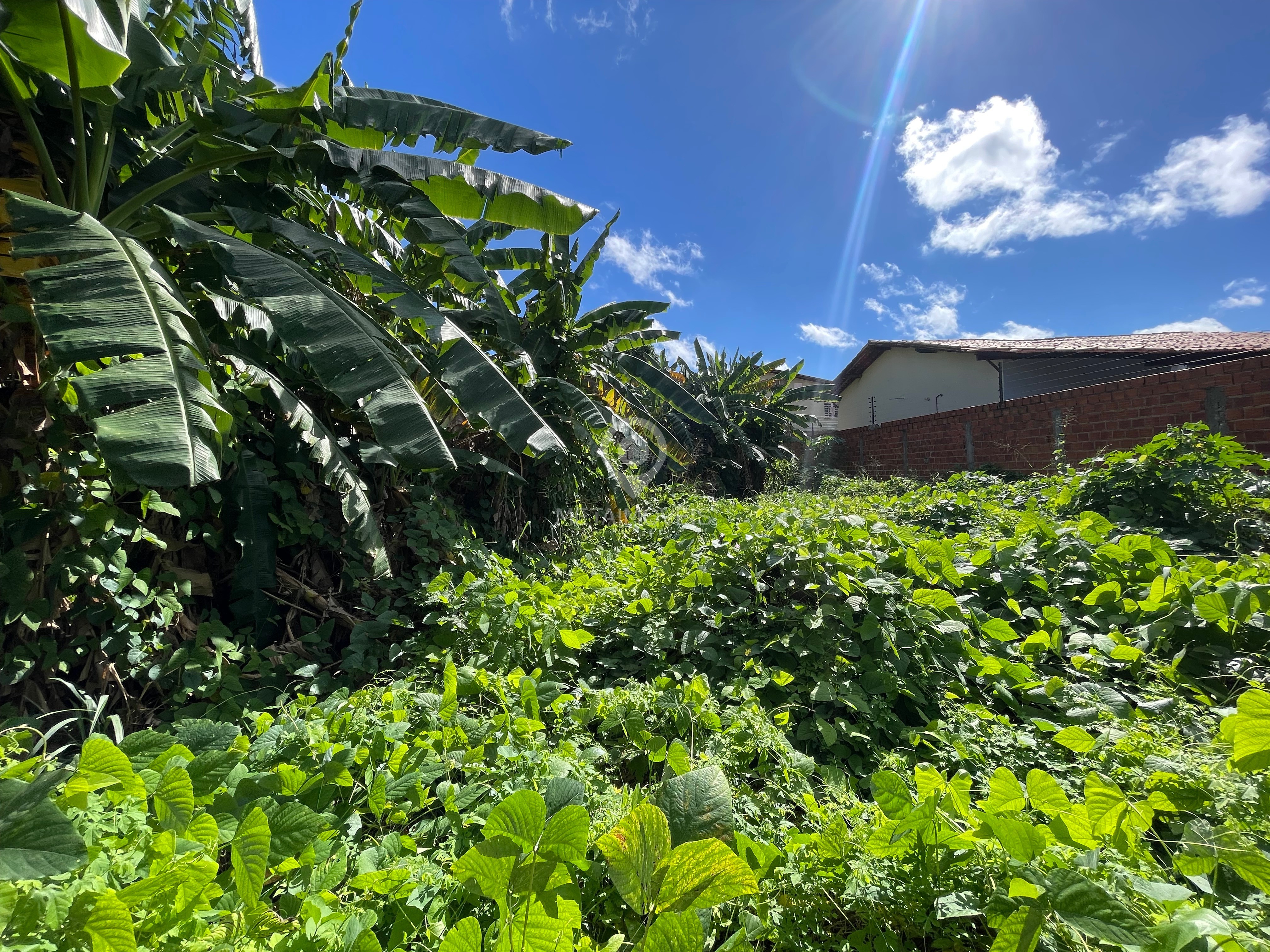 Terreno, 450 m² - Foto 4