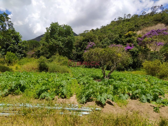 Fazenda / Sítio à venda em Venda Nova, Teresópolis - RJ - Foto 5
