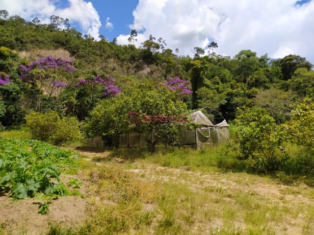 Fazenda / Sítio à venda em Venda Nova, Teresópolis - RJ - Foto 6