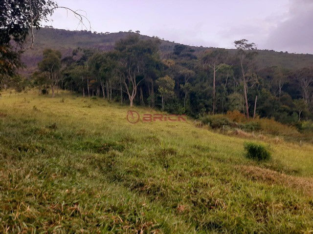 Fazenda / Sítio à venda em Santa Rosa, Teresópolis - RJ - Foto 26