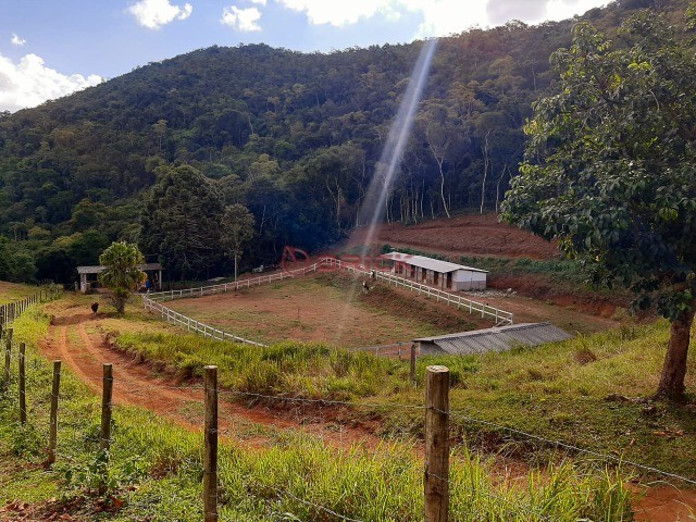 Fazenda / Sítio à venda em Vieira, Teresópolis - RJ - Foto 17