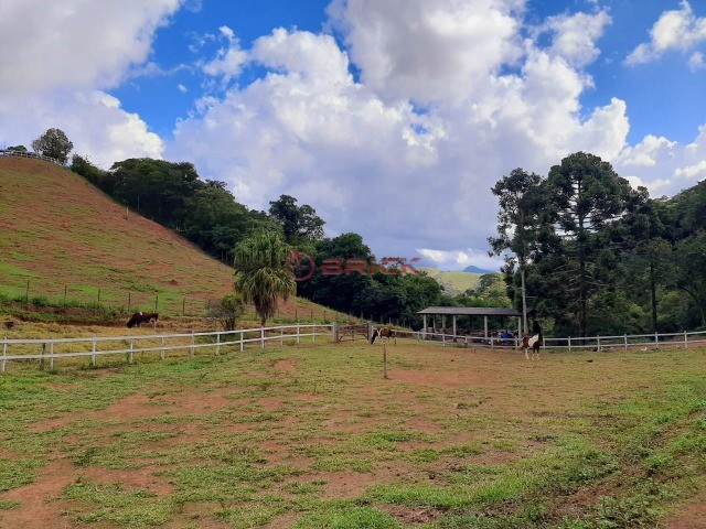 Fazenda / Sítio à venda em Vieira, Teresópolis - RJ - Foto 31