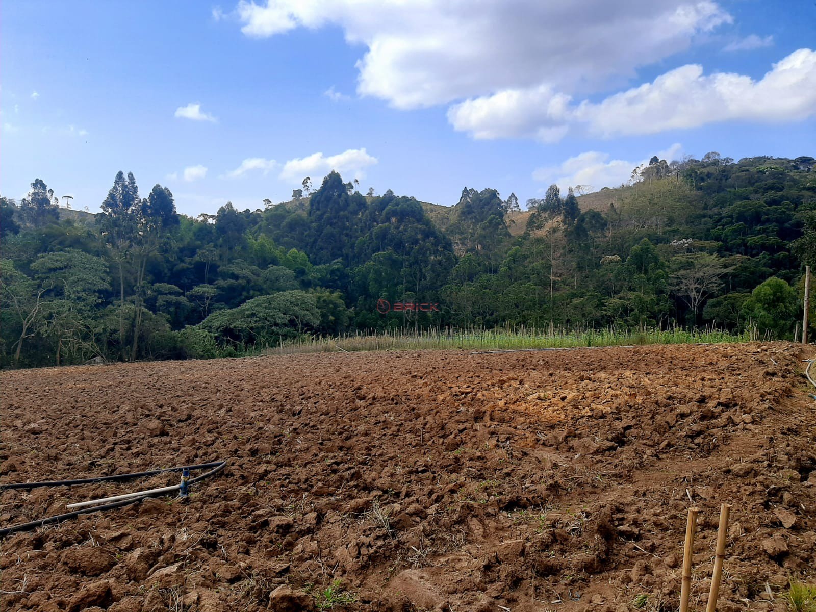 Fazenda / Sítio à venda em Vieira, Teresópolis - RJ - Foto 7
