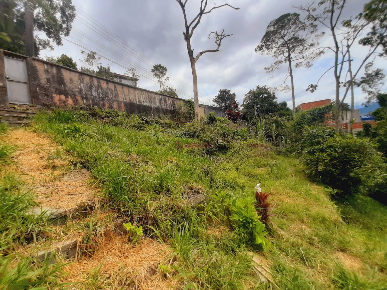 Terreno Residencial à venda em Iucas, Teresópolis - RJ - Foto 6