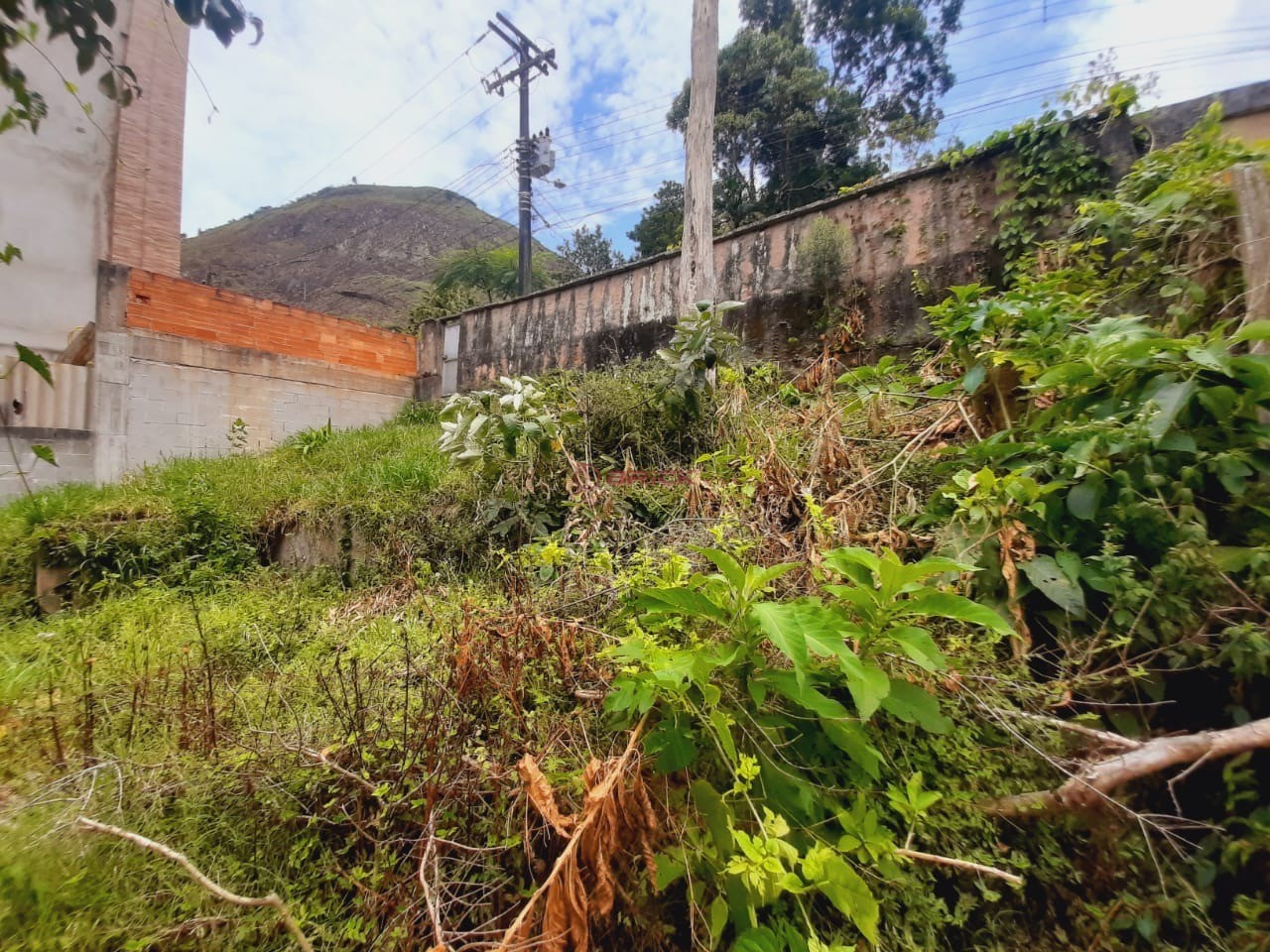 Terreno Residencial à venda em Iucas, Teresópolis - RJ - Foto 5