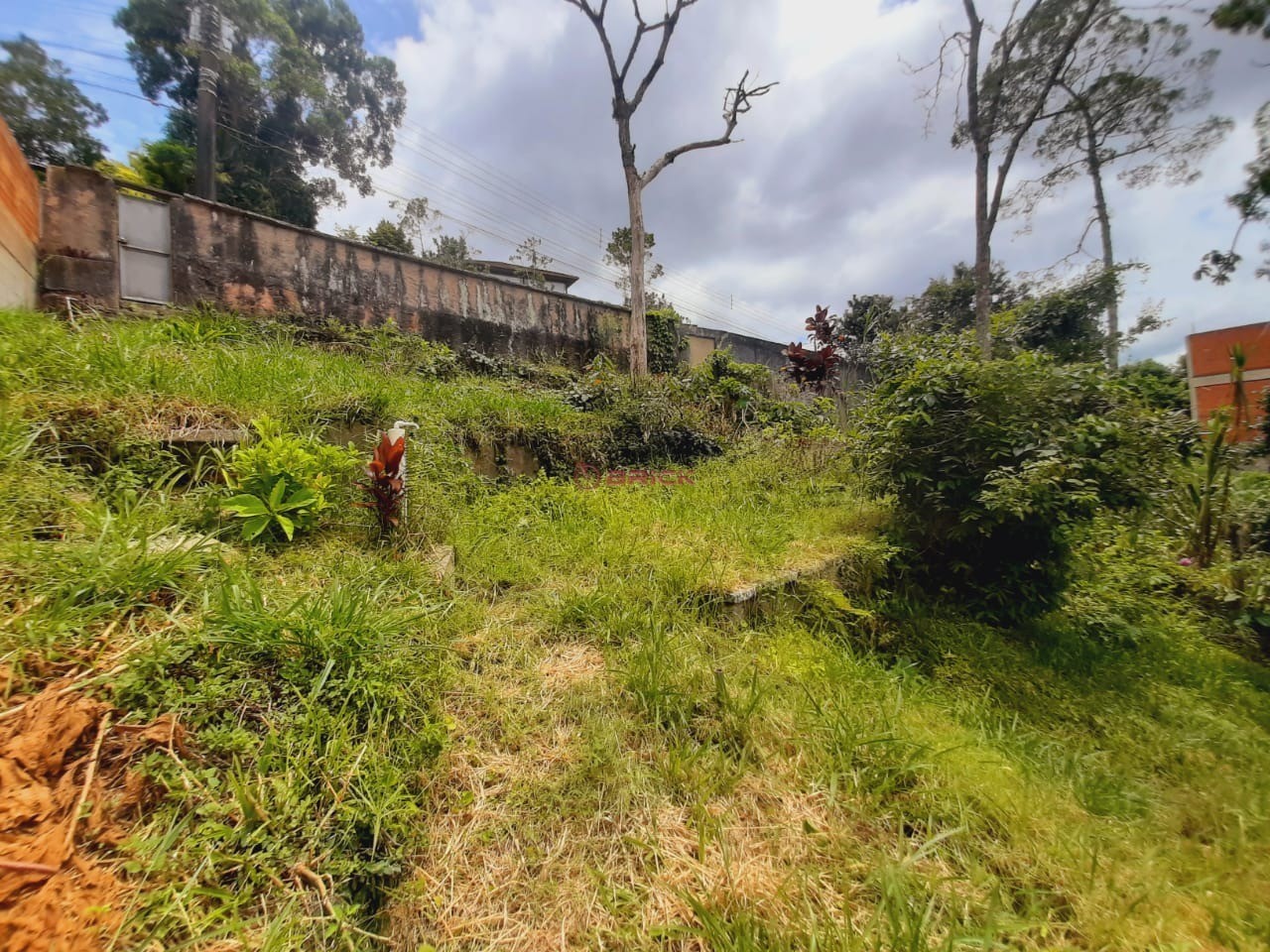 Terreno Residencial à venda em Iucas, Teresópolis - RJ - Foto 4
