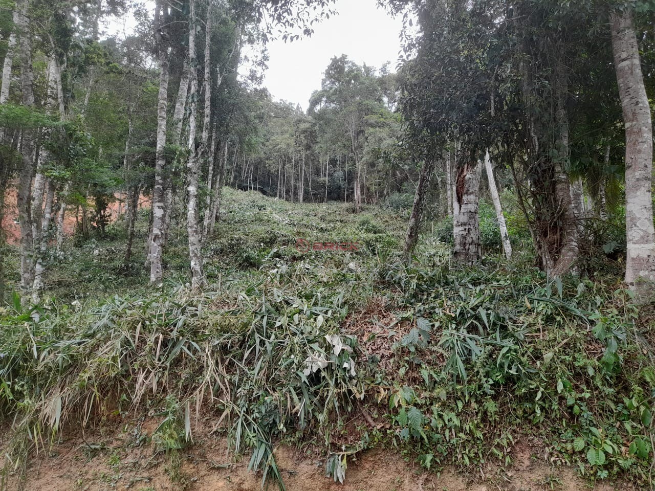 Terreno Residencial à venda em Parque do Imbui, Teresópolis - RJ - Foto 20