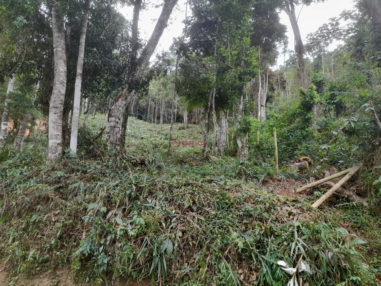 Terreno Residencial à venda em Parque do Imbui, Teresópolis - RJ - Foto 18