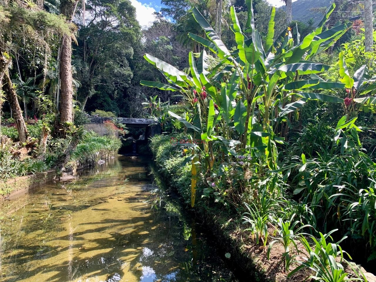 Casa à venda em Cascata dos Amores, Teresópolis - RJ - Foto 7