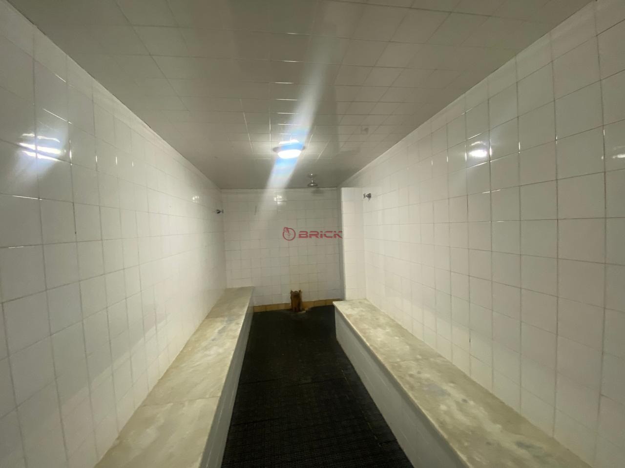 Casa à venda em Granja Guarani, Teresópolis - RJ - Foto 37