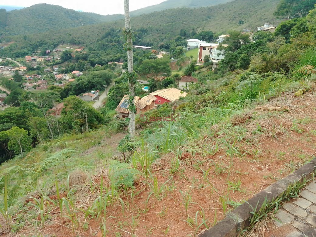 Terreno à venda, 1000m² - Foto 1