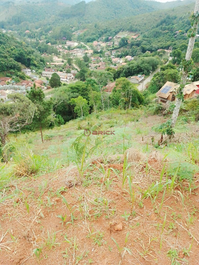 Terreno à venda, 1000m² - Foto 3