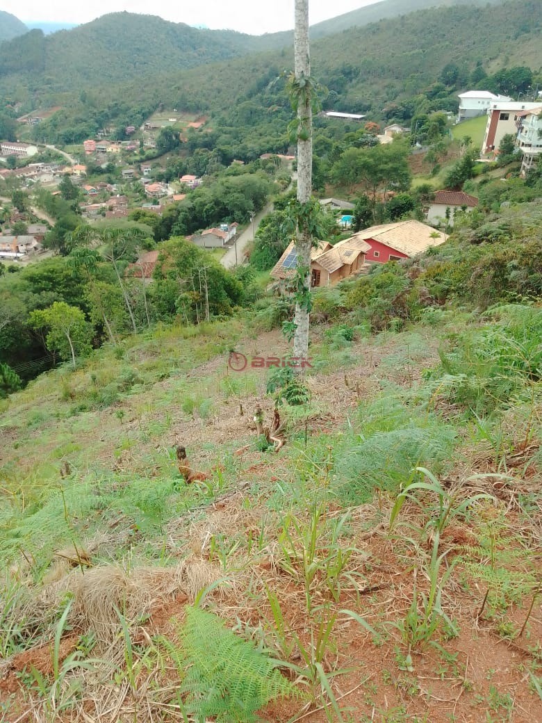 Terreno à venda, 1000m² - Foto 5