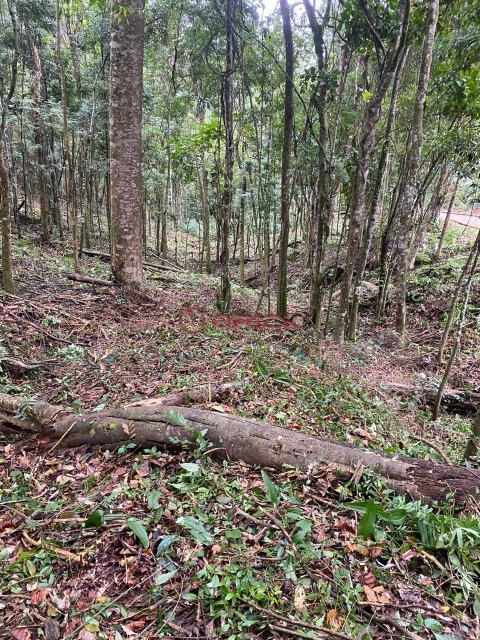 Terreno à venda, 10846m² - Foto 3