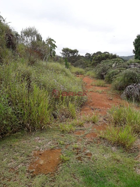 Terreno à venda, 600m² - Foto 2