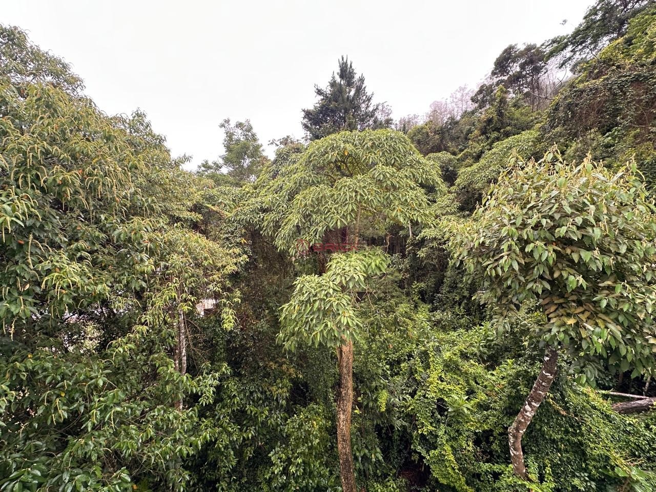 Apartamento à venda em Pimenteiras, Teresópolis - RJ - Foto 15