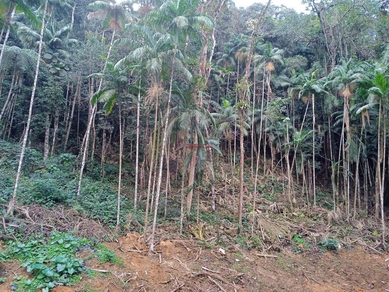 Apartamento à venda em Alto, Teresópolis - RJ - Foto 7