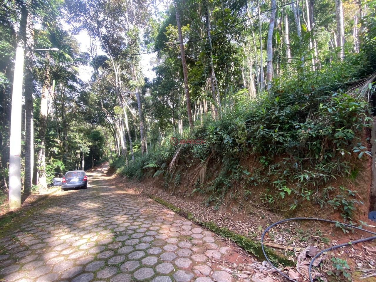 Terreno Residencial à venda em Prata, Teresópolis - RJ - Foto 3