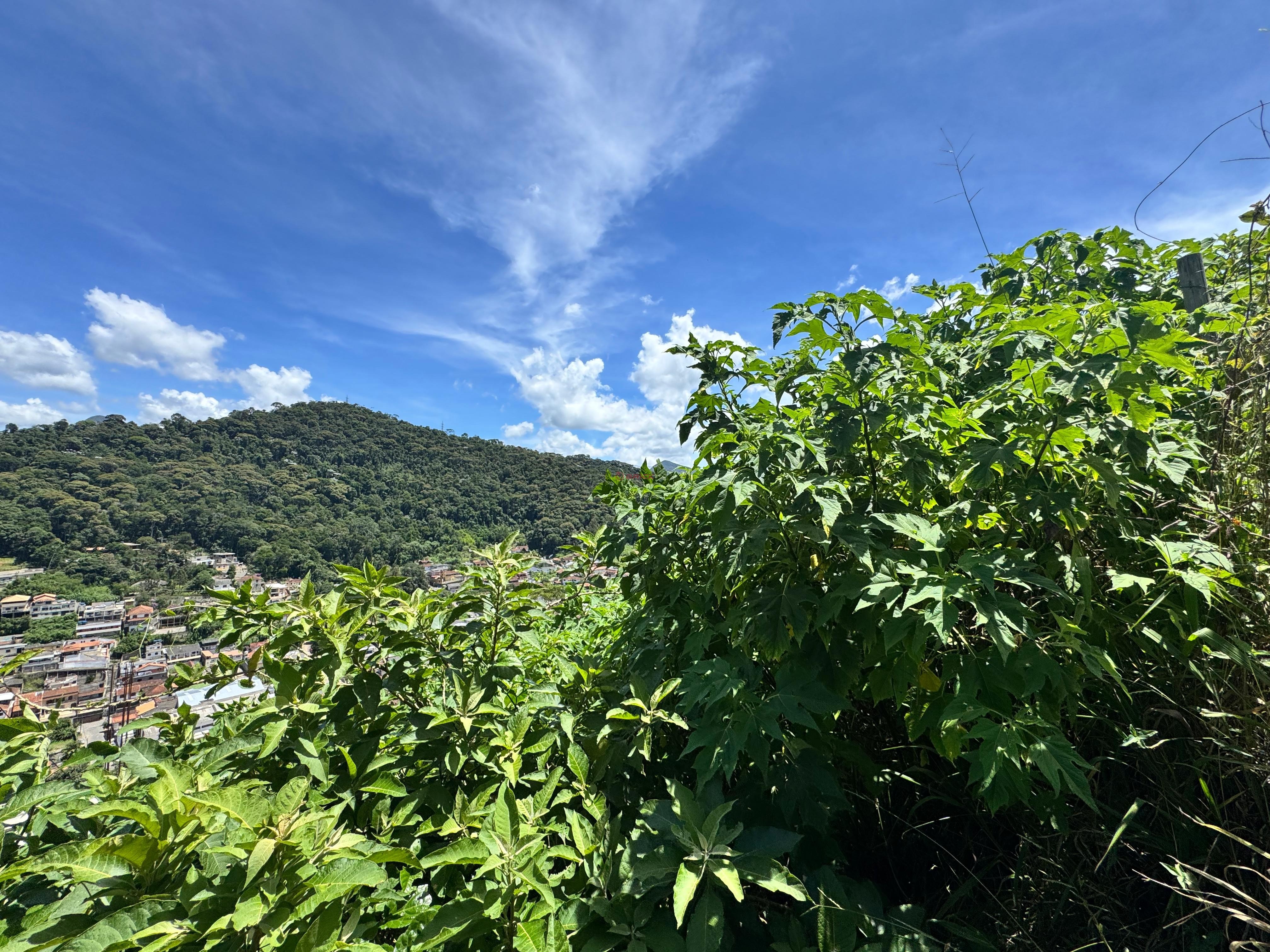 Terreno Residencial à venda em Vale do Paraíso, Teresópolis - RJ - Foto 2