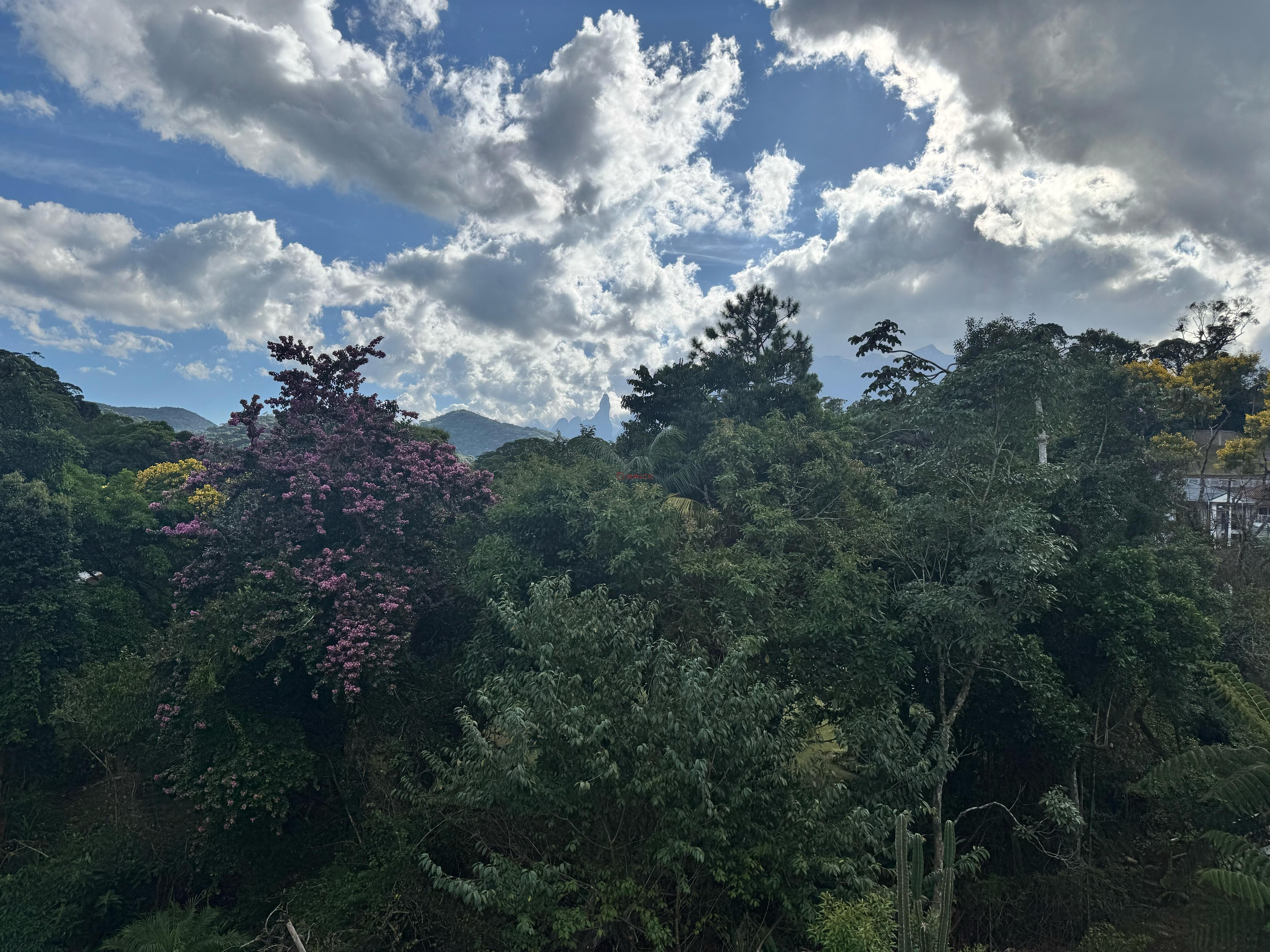 Casa à venda em Carlos Guinle, Teresópolis - RJ - Foto 33