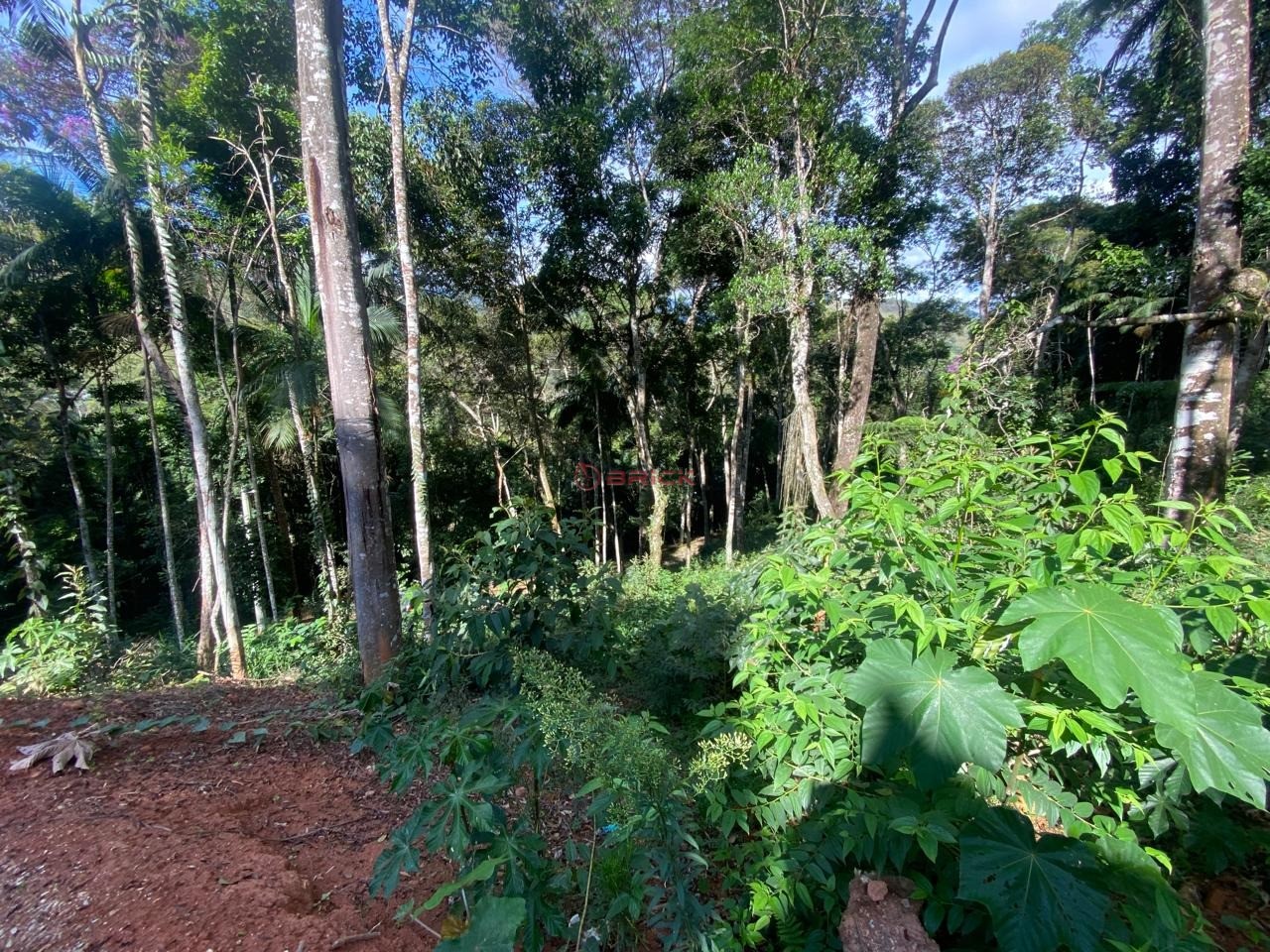 Terreno Residencial à venda em Prata, Teresópolis - RJ