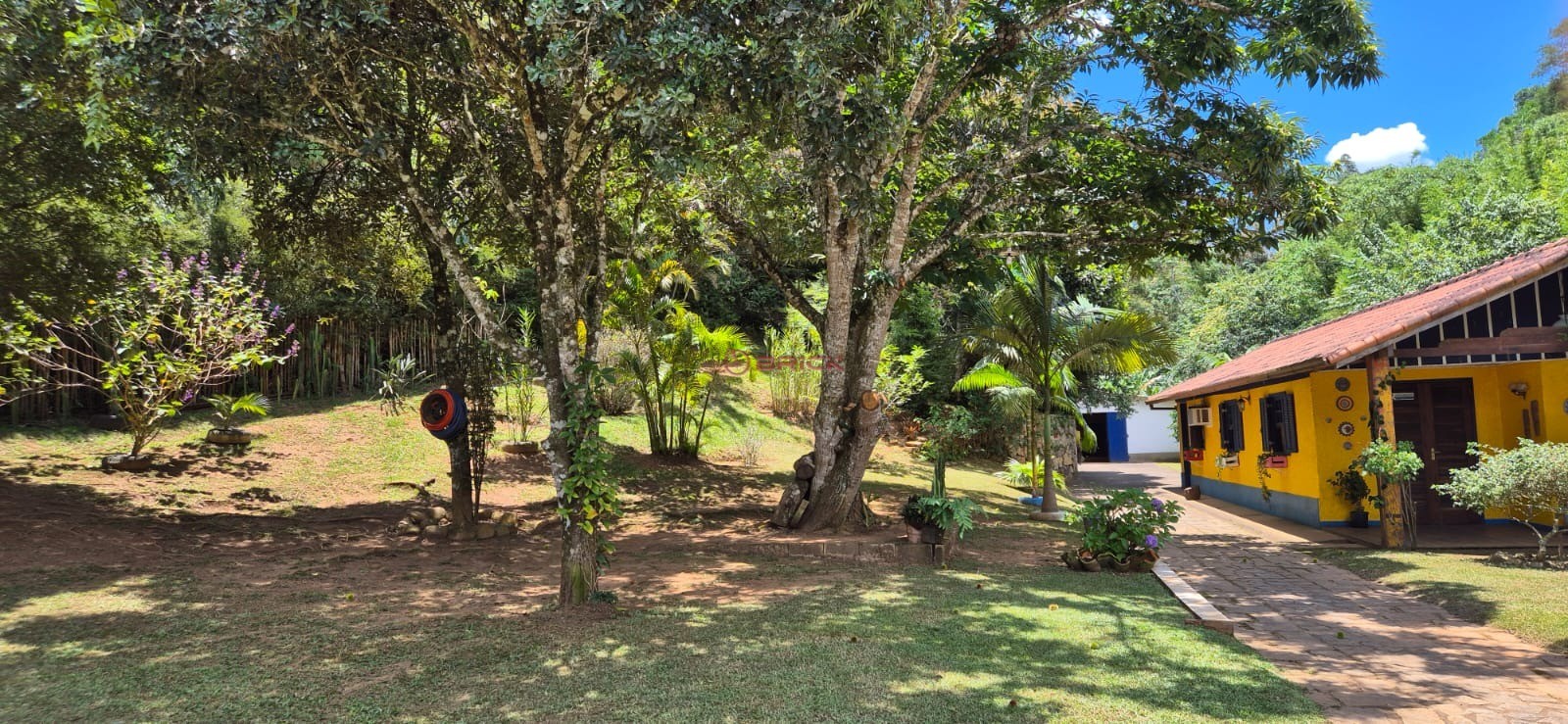 Fazenda / Sítio à venda em Três Córregos, Teresópolis - RJ - Foto 4