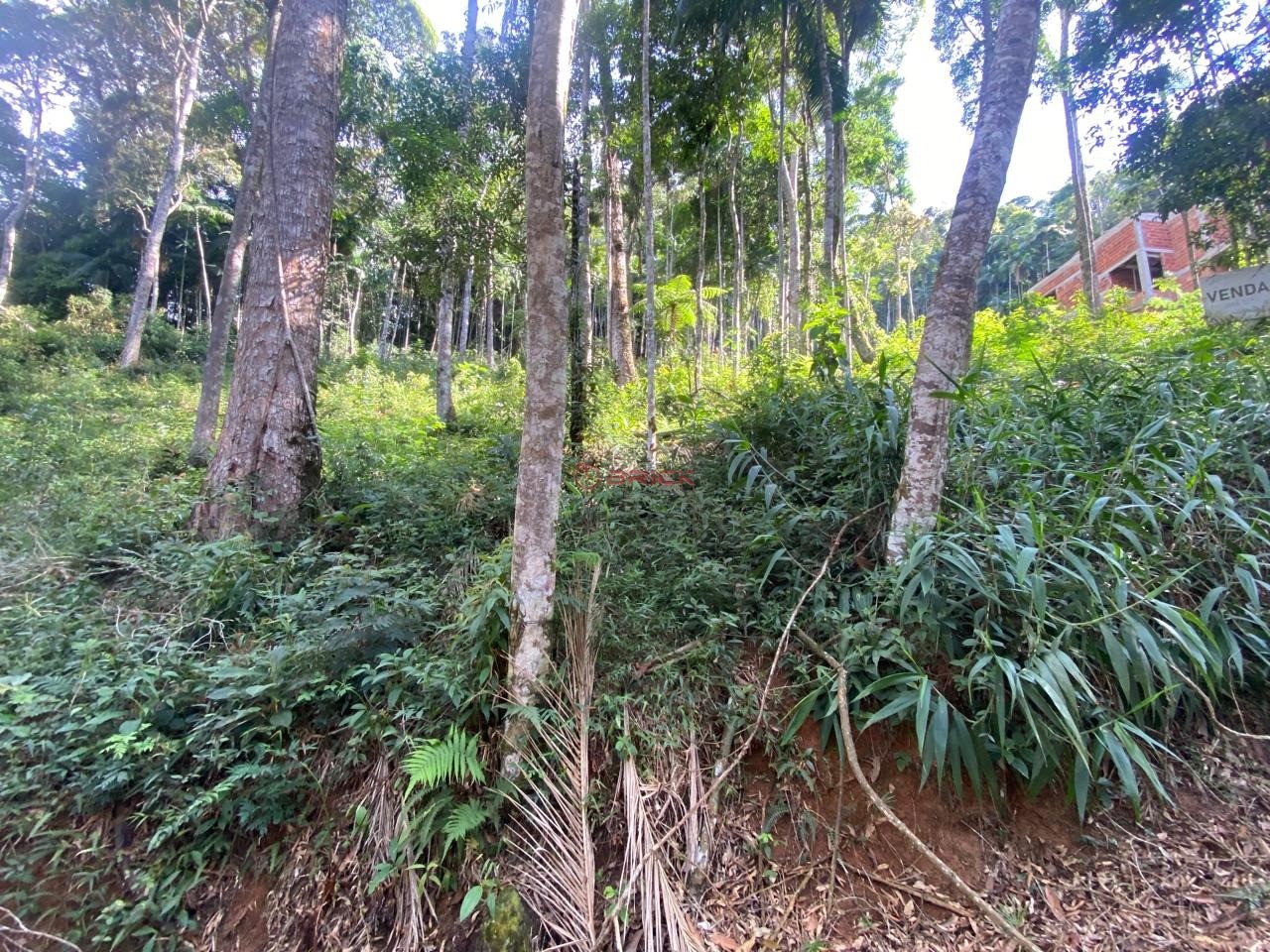 Terreno Residencial à venda em Prata, Teresópolis - RJ - Foto 4