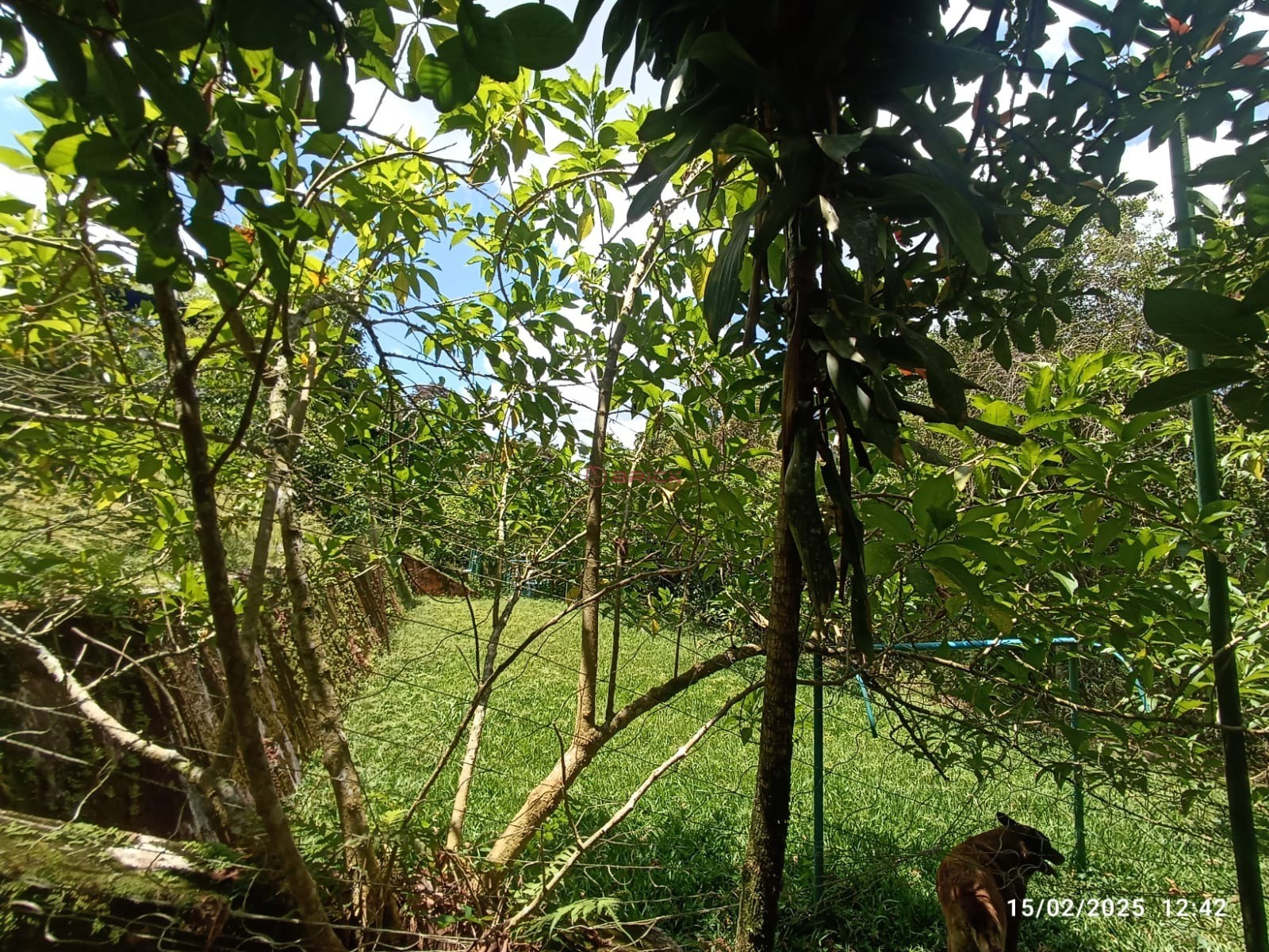 Casa para Alugar  à venda em Alto, Teresópolis - RJ - Foto 33