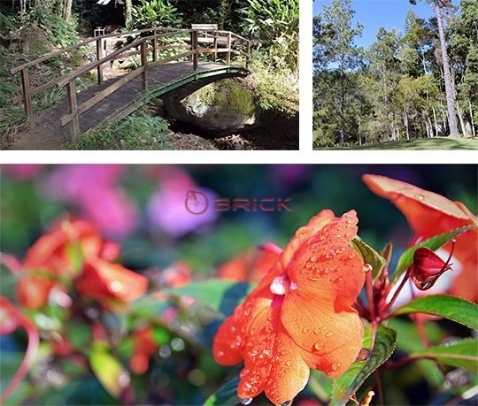 Terreno Residencial à venda em Quebra Frascos, Teresópolis - RJ - Foto 17