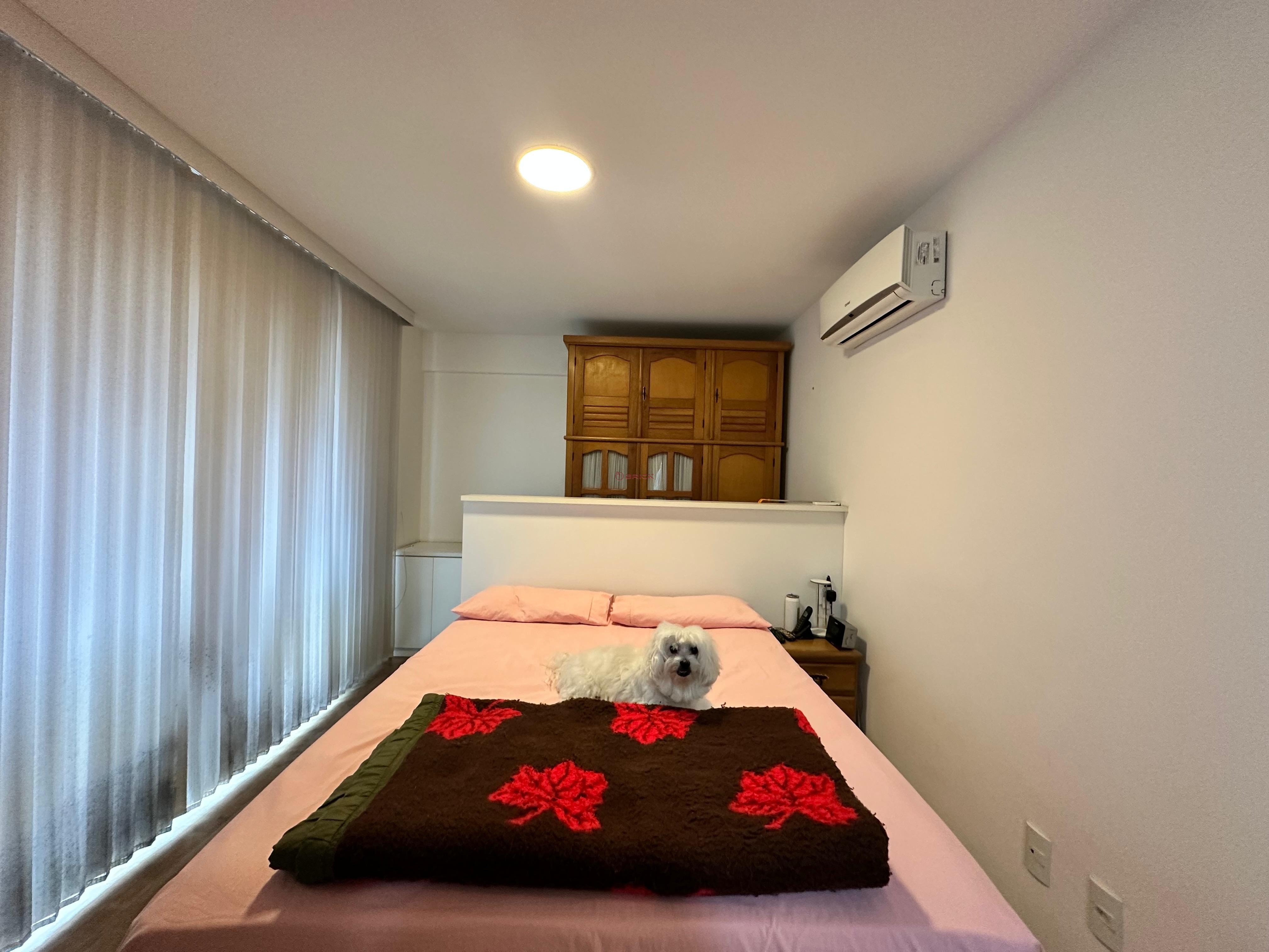 Apartamento à venda em Várzea, Teresópolis - RJ - Foto 6