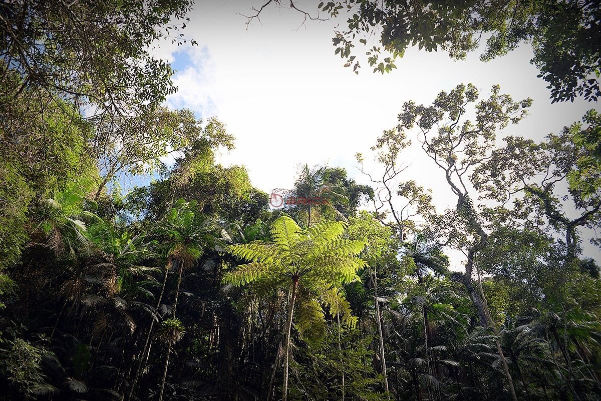 Terreno Residencial à venda em Quebra Frascos, Teresópolis - RJ - Foto 5