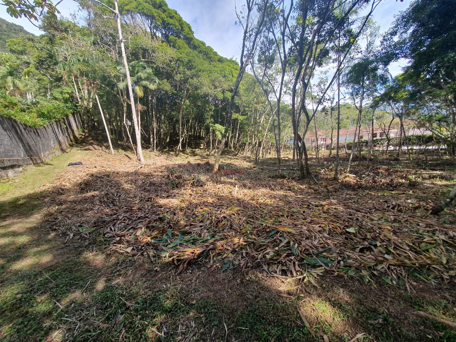 Terreno Residencial à venda em Carlos Guinle, Teresópolis - RJ - Foto 3