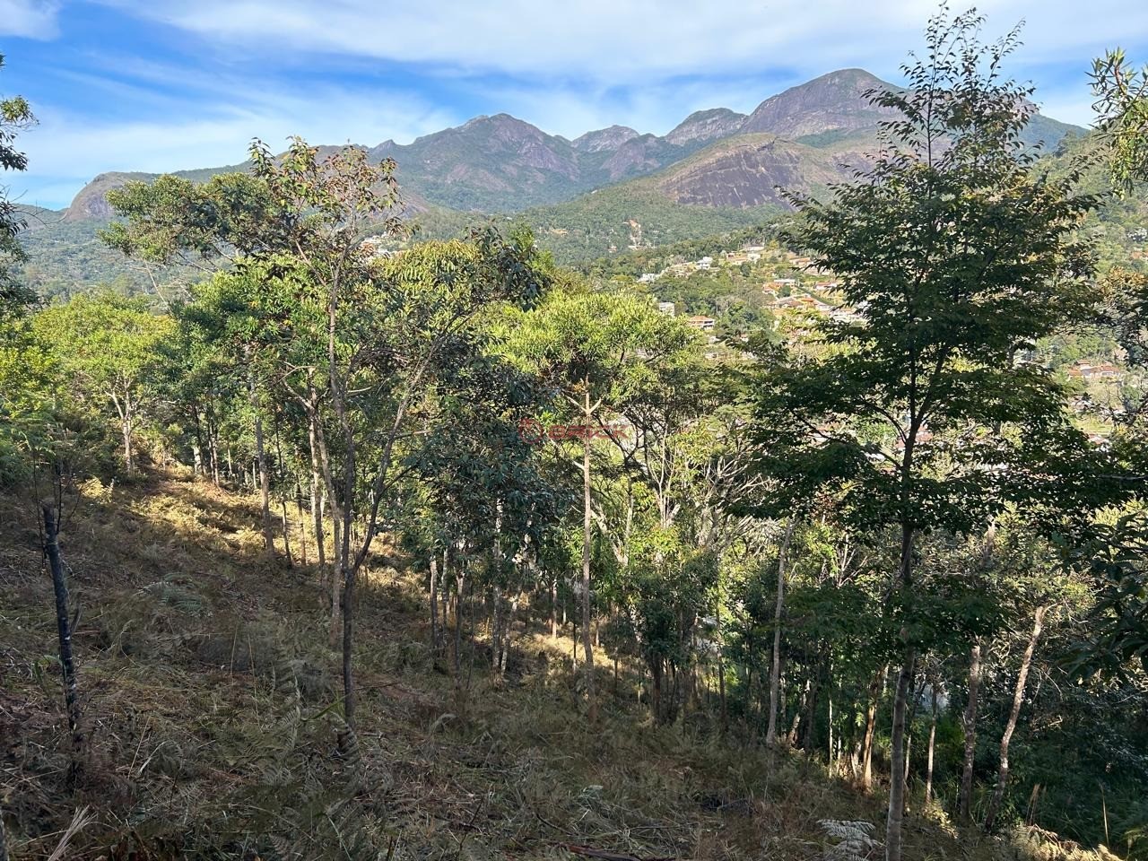 Terreno Residencial à venda em Parque do Imbui, Teresópolis - RJ - Foto 7