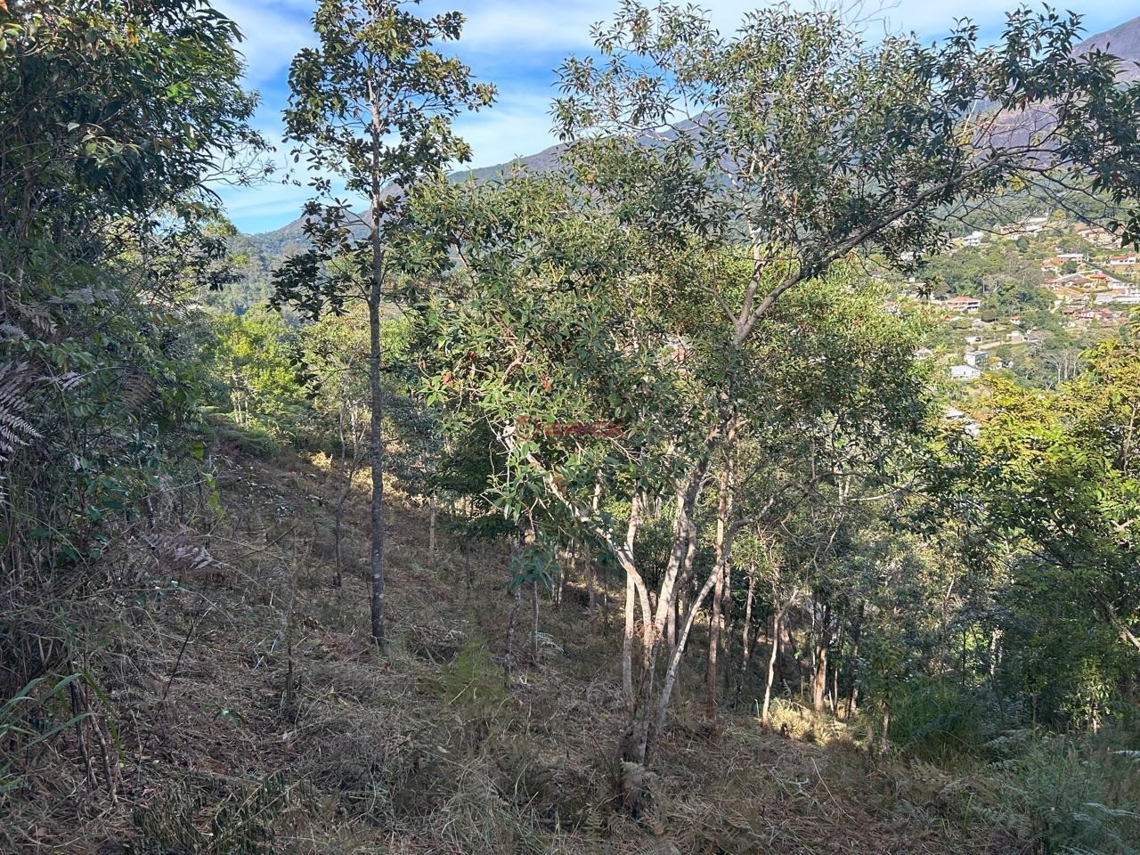 Terreno Residencial à venda em Parque do Imbui, Teresópolis - RJ - Foto 9