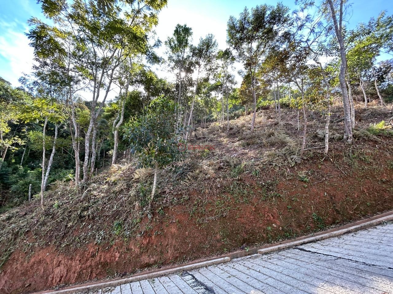 Terreno Residencial à venda em Parque do Imbui, Teresópolis - RJ - Foto 4