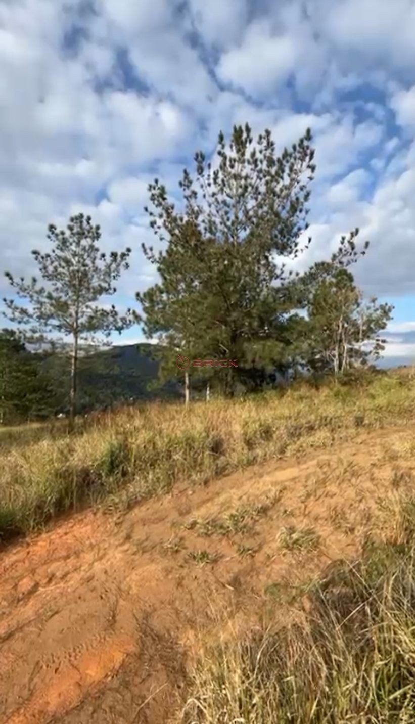Terreno Residencial à venda em Vale Feliz, Teresópolis - RJ - Foto 5