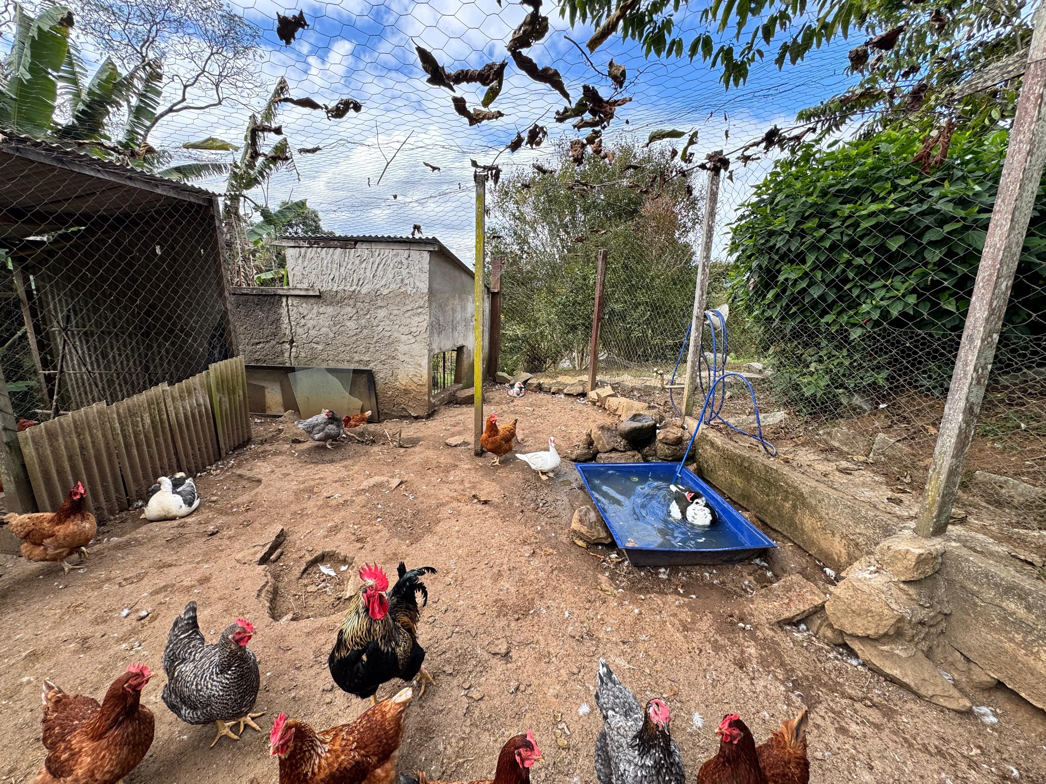 Casa à venda em Parque do Imbui, Teresópolis - RJ - Foto 21