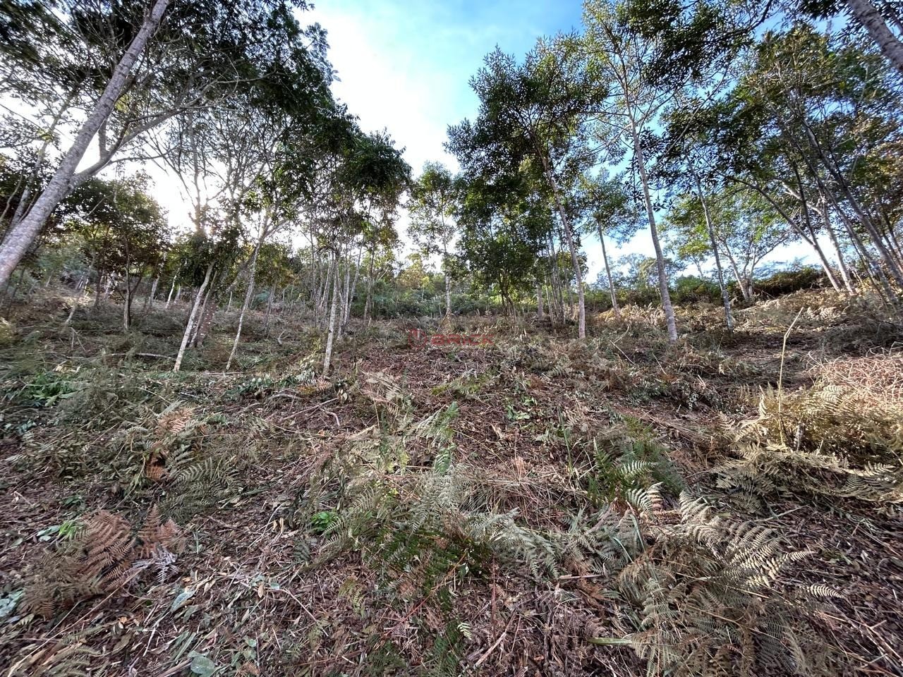 Terreno Residencial à venda em Parque do Imbui, Teresópolis - RJ - Foto 2