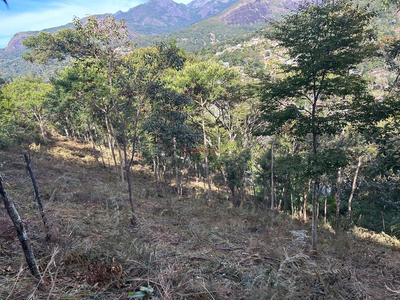 Terreno Residencial à venda em Parque do Imbui, Teresópolis - RJ - Foto 8