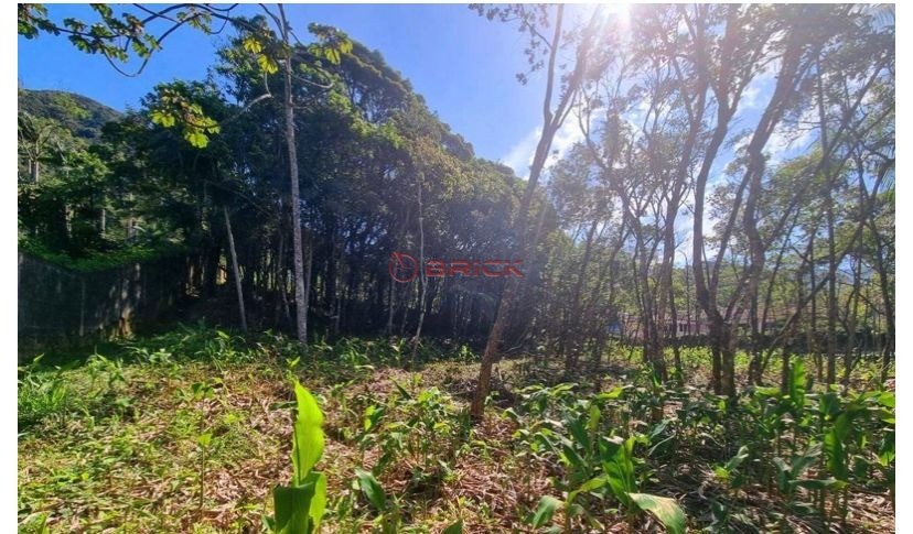 Terreno Residencial à venda em Carlos Guinle, Teresópolis - RJ - Foto 2