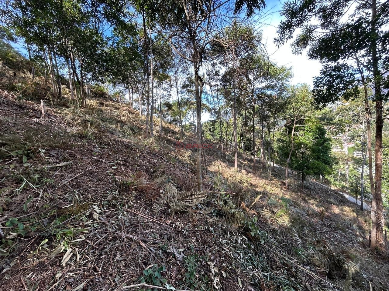 Terreno Residencial à venda em Parque do Imbui, Teresópolis - RJ - Foto 1