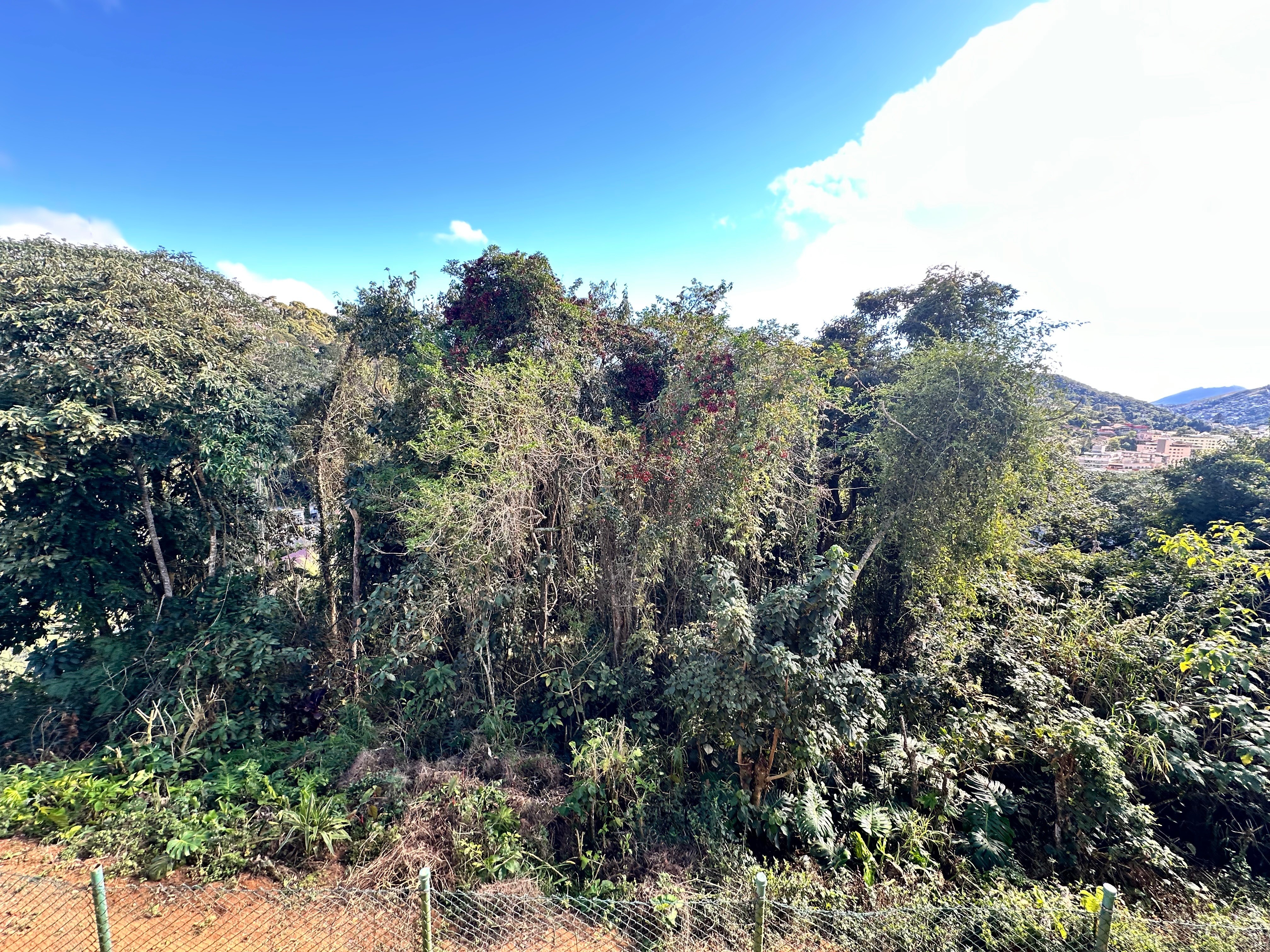 Casa à venda em Várzea, Teresópolis - RJ - Foto 25