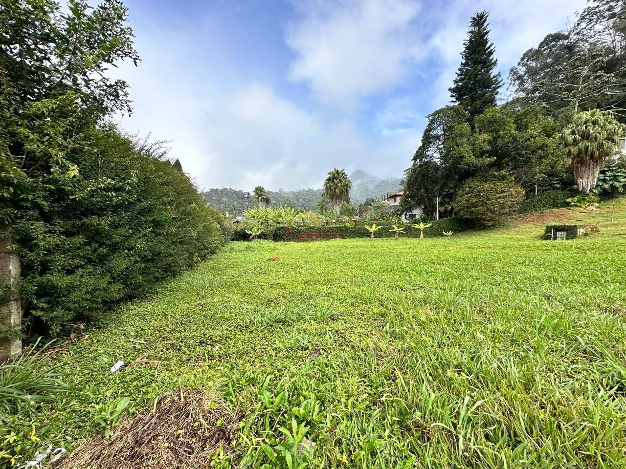Terreno Residencial à venda em Pimenteiras, Teresópolis - RJ - Foto 4