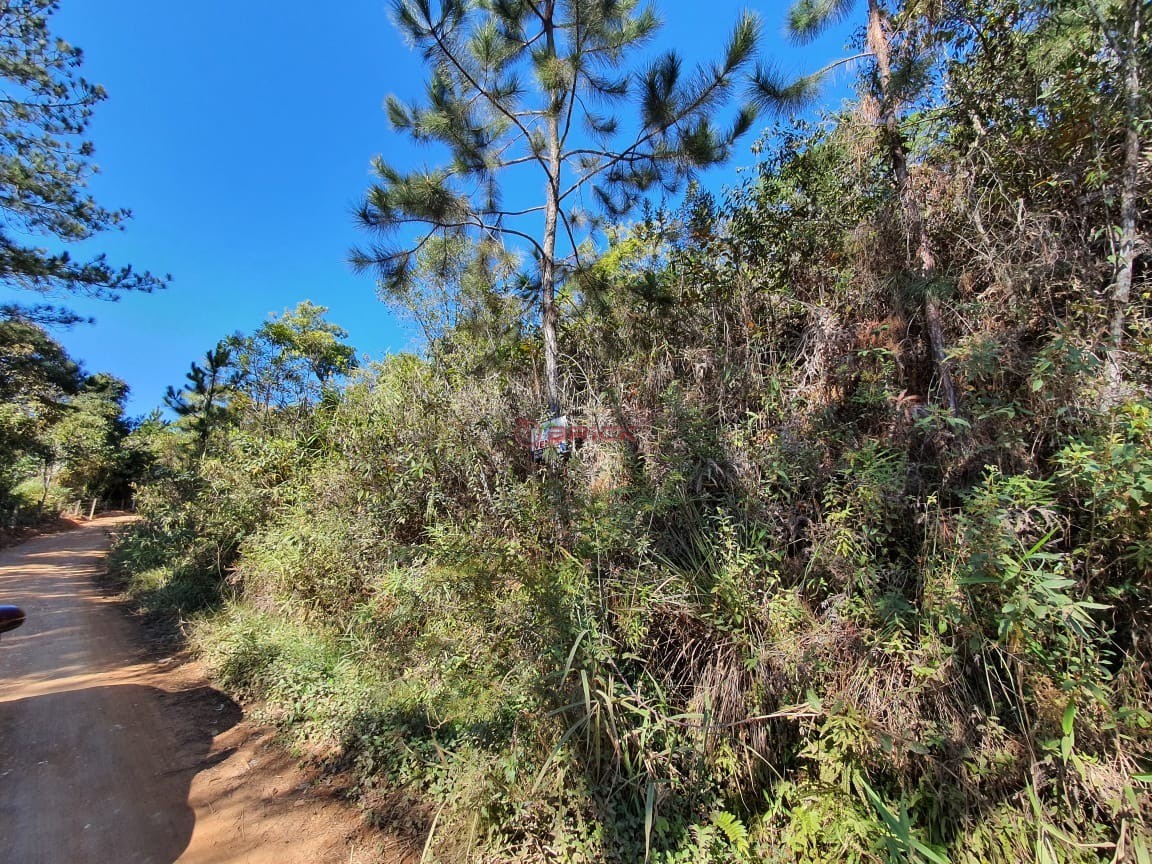 Terreno Residencial à venda em Albuquerque, Teresópolis - RJ - Foto 4