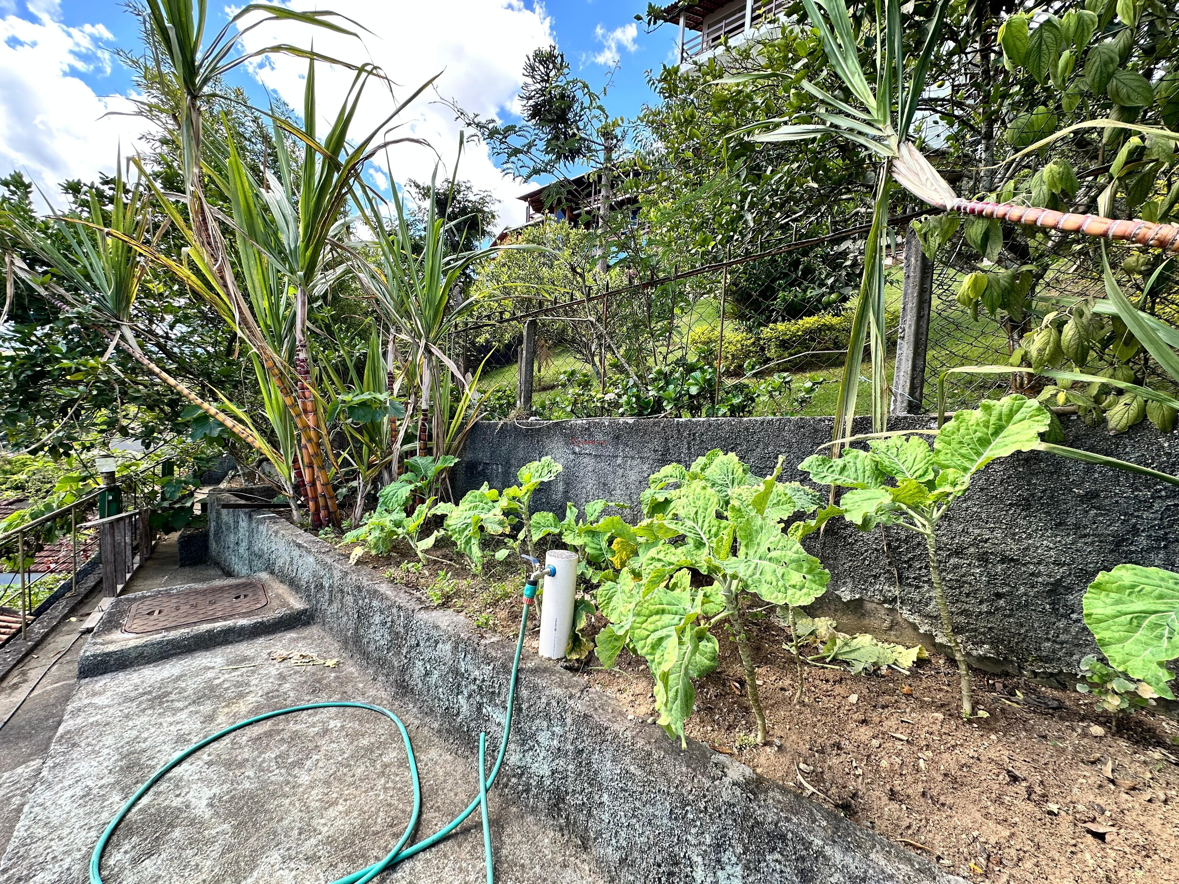 Casa para Alugar  à venda em Parque São Luiz, Teresópolis - RJ - Foto 50