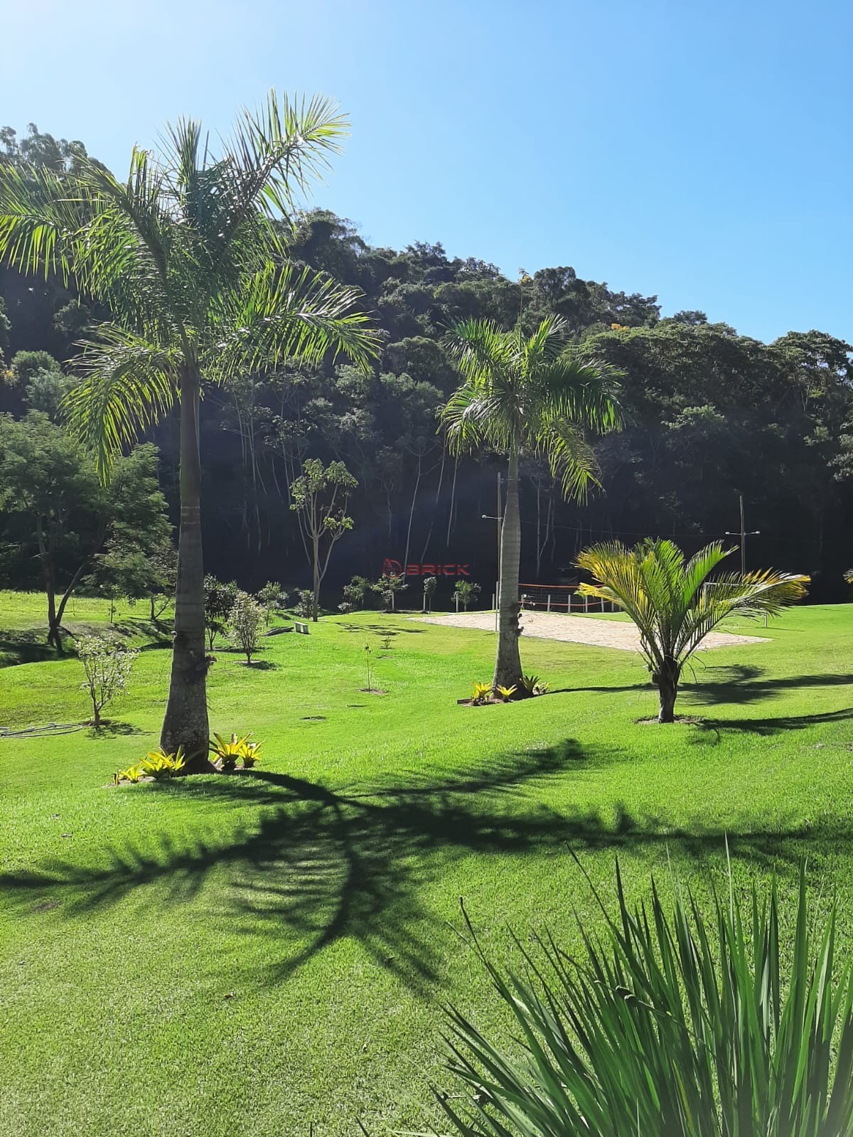 Terreno Residencial à venda em Sebastiana, Teresópolis - RJ - Foto 4